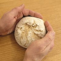Meier Brothandwerk
