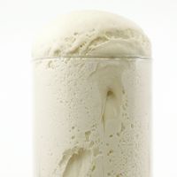 Meier Sauerteig_1